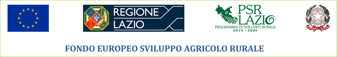 Fondo Europeo